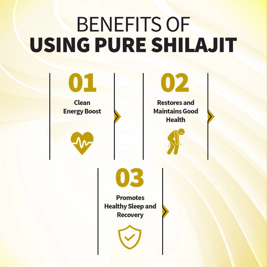 Sunbear Health Supplies - Himalayan Shilajit Resin 20g