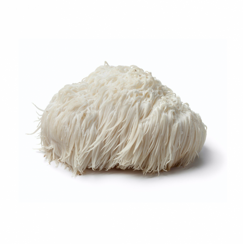 Load image into Gallery viewer, Life Cykel Lion's Mane Mushroom Liquid Extract - 120ml -Life Cykel