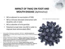 Load image into Gallery viewer, ZeoOne Zeolite 100g Powder