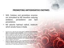Load image into Gallery viewer, ZeoOne Zeolite 100g Powder