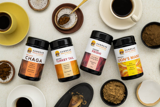 Lion’s Mane + Chaga + Reishi + Turkey Tail – 4-Pack.