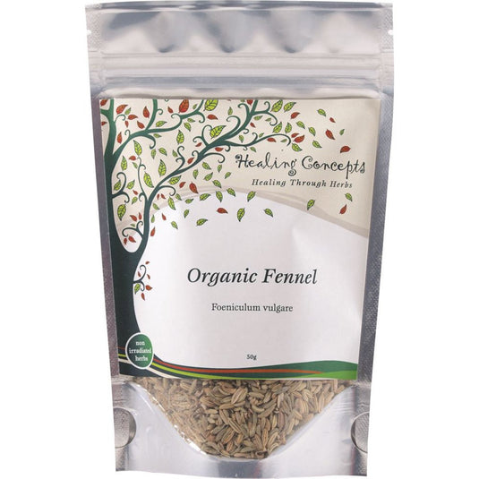 Healing Concepts Organic Ginger Tea 50g