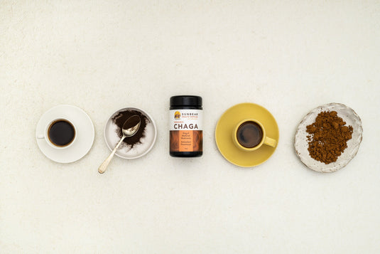 Lion’s Mane + Chaga + Reishi + Turkey Tail – 4-Pack.