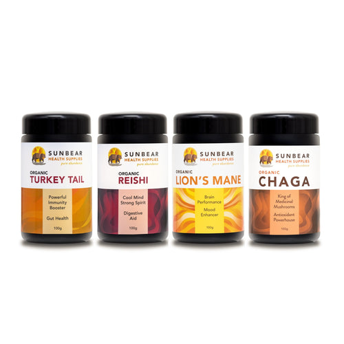 Lion’s Mane + Chaga + Reishi + Turkey Tail – 4-Pack.