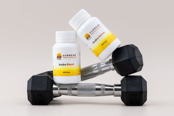 Sunbear Andro Two-Pack